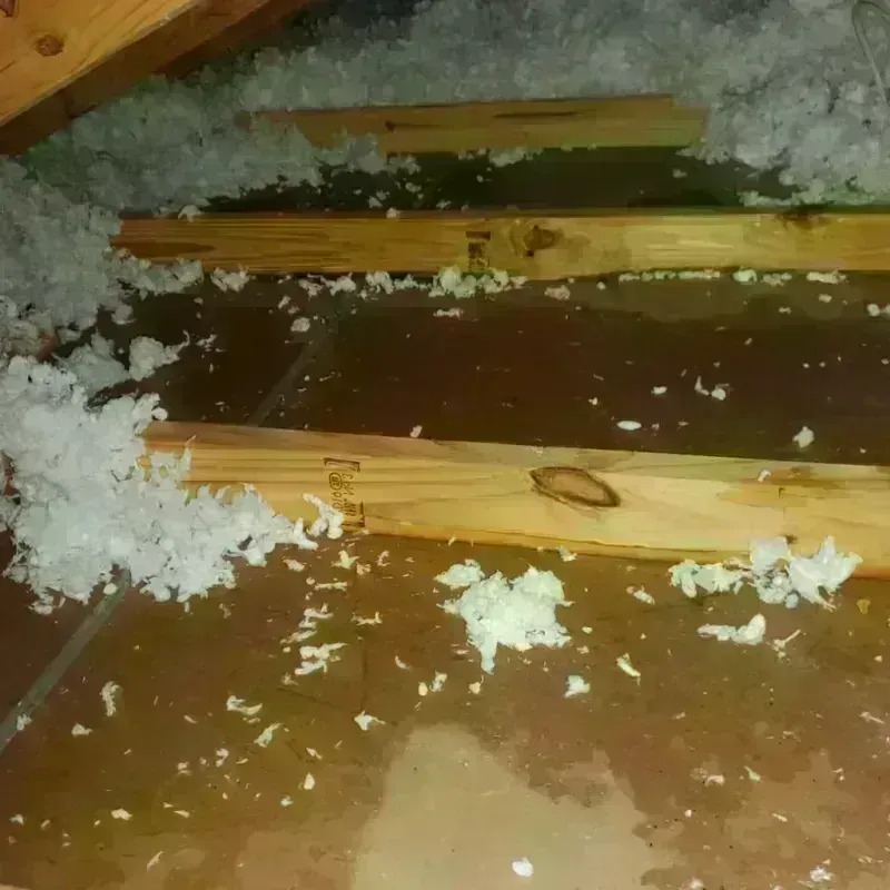 Attic Water Damage in Des Plaines, IL