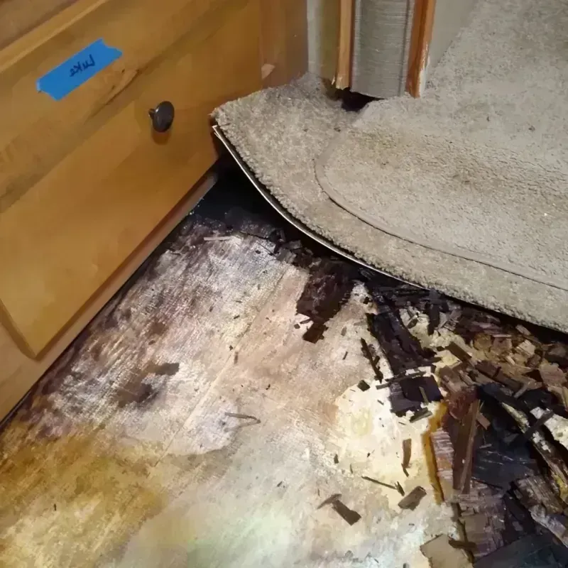 Wood Floor Water Damage in Des Plaines, IL